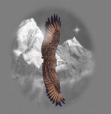 We all have wings of love to soar higher !!