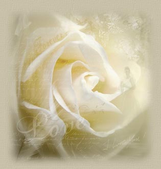 A Rose Is Stronger