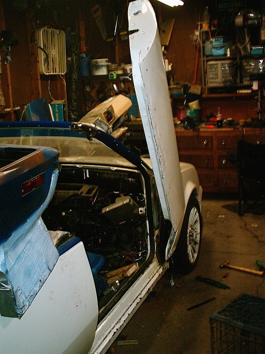 Lambo Hinges