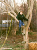 Click to see me in my Grandparent's great climbing tree.