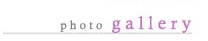 Photto Gallery