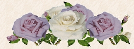 blue_roses.jpg (28493 bytes)
