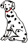 Dalmatian