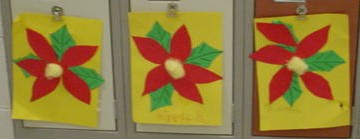 Poinsettia