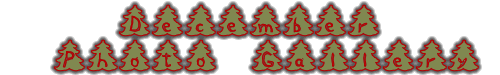 December Photo Gallery