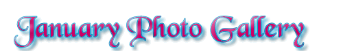 January Photo Gallery