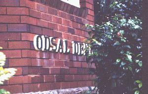 odsaldene2002-1.gif (40259 bytes)