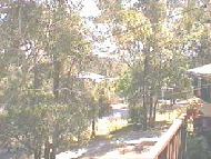 test1.gif (28094 bytes)