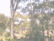 test4.gif (25384 bytes)