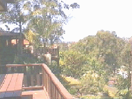 test5.gif (22514 bytes)