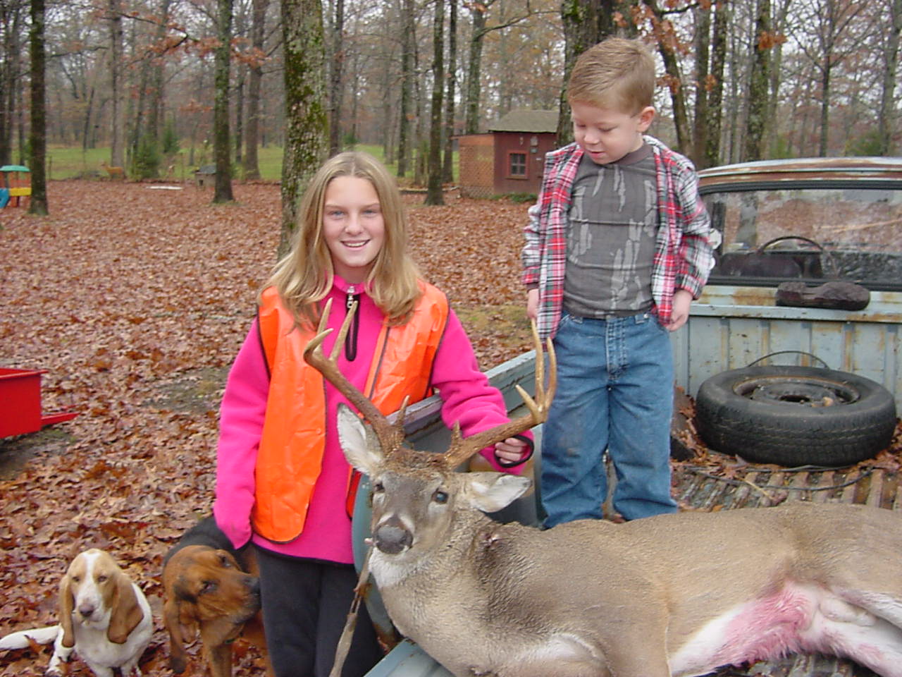 c-deer6.jpg (209267 bytes)