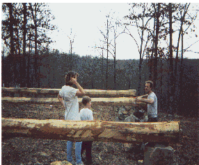 cabin1-2.gif (34886 bytes)
