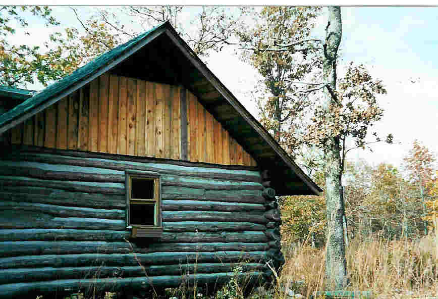 cabin3.jpg (47916 bytes)