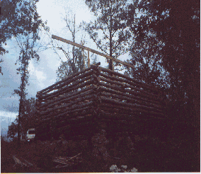 cabin5.gif (34267 bytes)