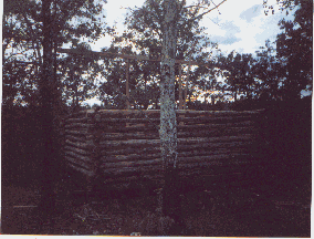 cabin6.gif (28407 bytes)