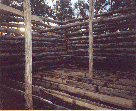 cabin7.gif (34478 bytes)