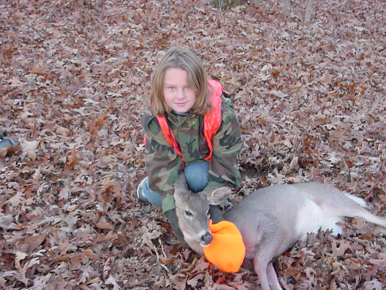 cdeer01.jpg (209991 bytes)