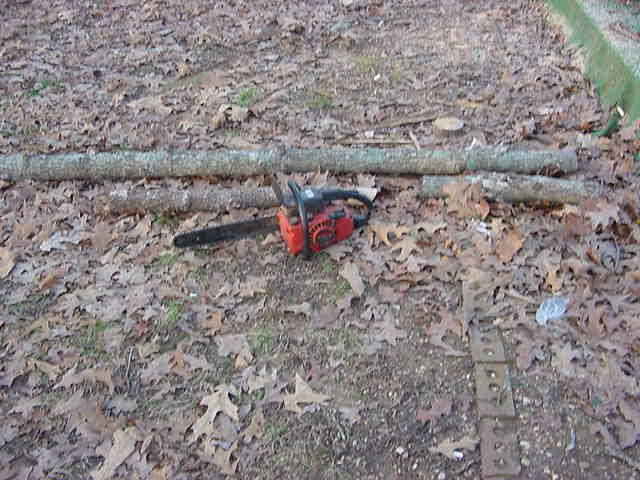 lf1.jpg (40664 bytes)