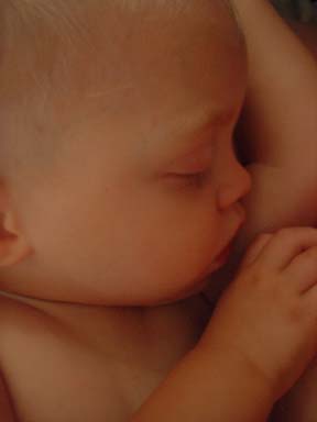 johnsleeping7-04-03-good-reduced.JPG (42743 bytes)