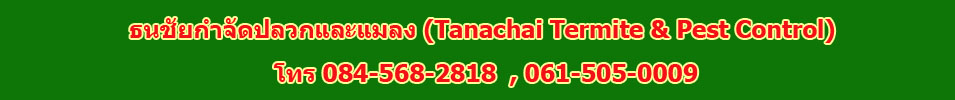 บริษัทจำกัดปลวก , จำกัดปลวก, ปลวก