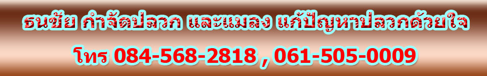 กำจัดปลวก, บริษัทกำจัดปลวก