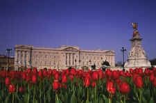 Buckingham Palace