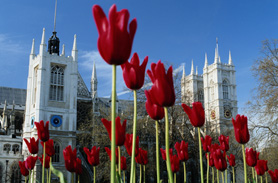 Westminster Abbey