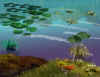 bg10b_2.jpg (88190 bytes)