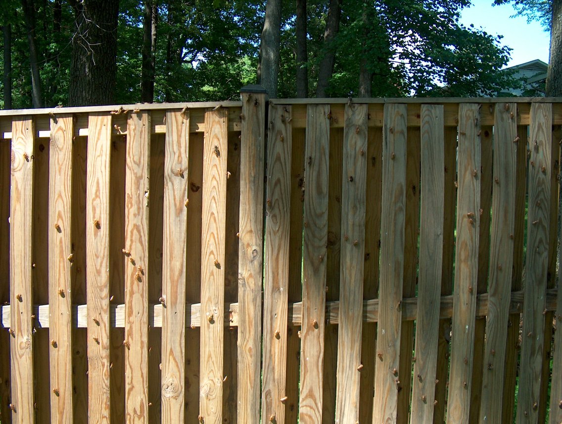 Along the fence