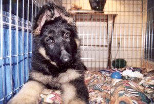 His name is Logan