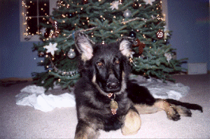 Logan at 5 months