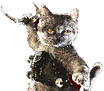 Ninja Kiti pic