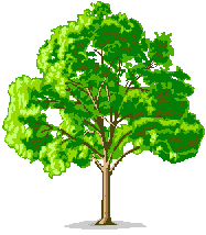 tree.gif (10415 bytes)