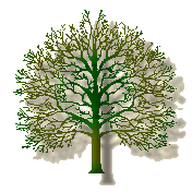 treebare.gif (12073 bytes)
