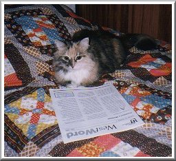 Pretty Mittsi Reading, Looking Cute, Intelligent, and Perfect In Every Way