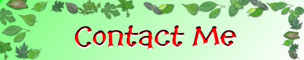 Contact Me's Banner
