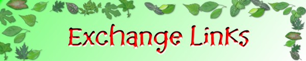 Exchange Link's Banner