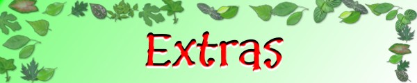 Extra's Banner