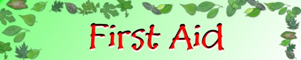 First Aid Banner