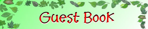 Guest Book Banner