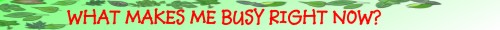 WHAT MAKES ME BUSY RIGHT NOW?