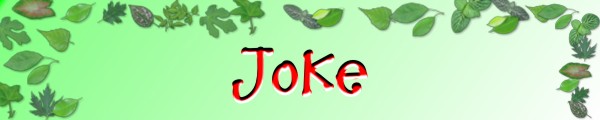 Jokes's Banner