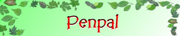 Penpal's Banner
