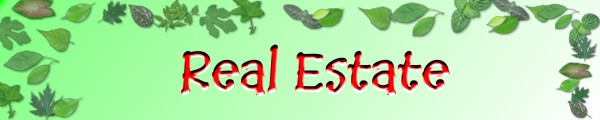 First Aid Banner