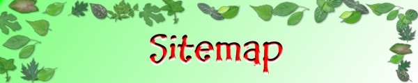 Sitemap's Banner