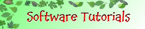 Software Tutorial's Banner