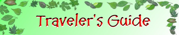 Traveler's Guide Banner