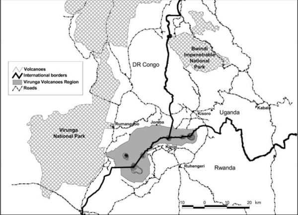 Comparison Figure Two