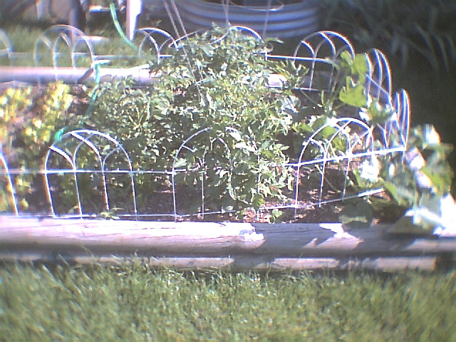 gardenside