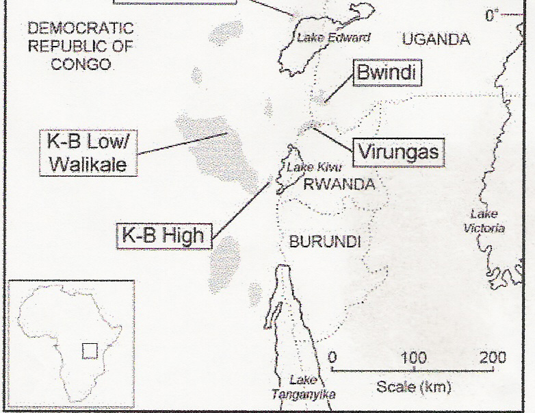 graueri populations
